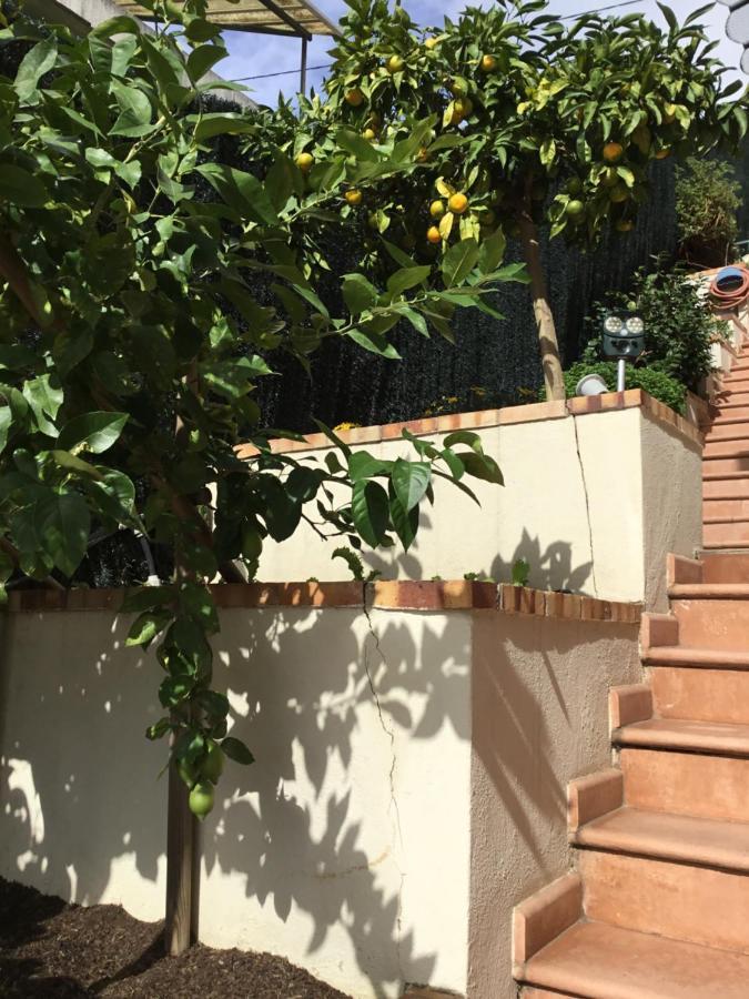 Villa Paradiso, Logement Avec Piscine, Nice Nord Экстерьер фото